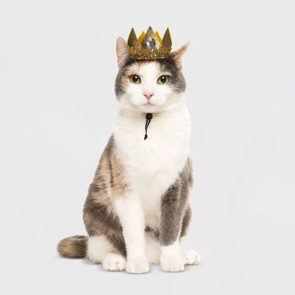 Pet Cat Hyde & Eek ROYALTY CROWN QUEEN Halloween Costume One Size Headpiece NWT